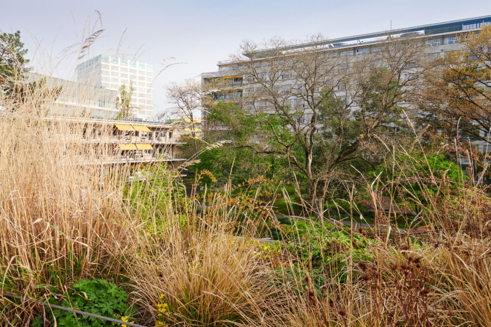 Park des Unispital Basel